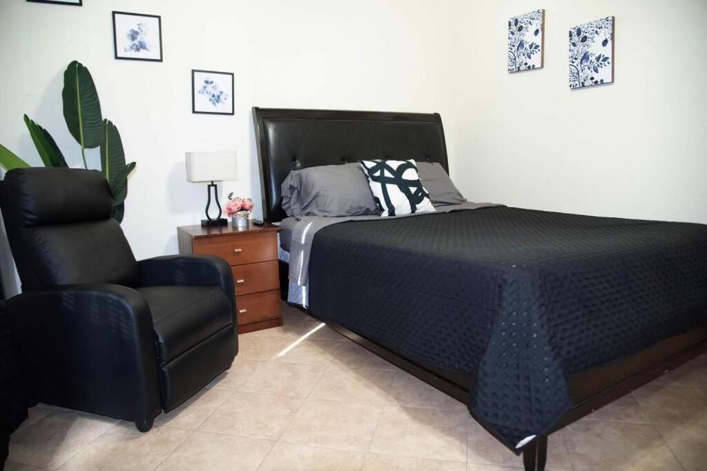 1 Min To Utrgv 2bd 2bt Town Apartment